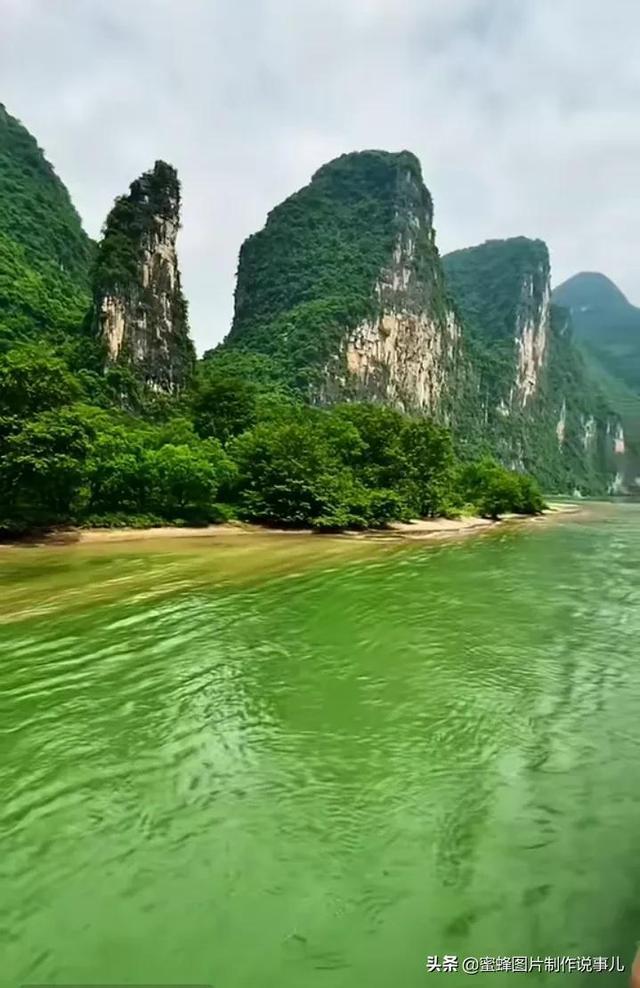 除虫大师